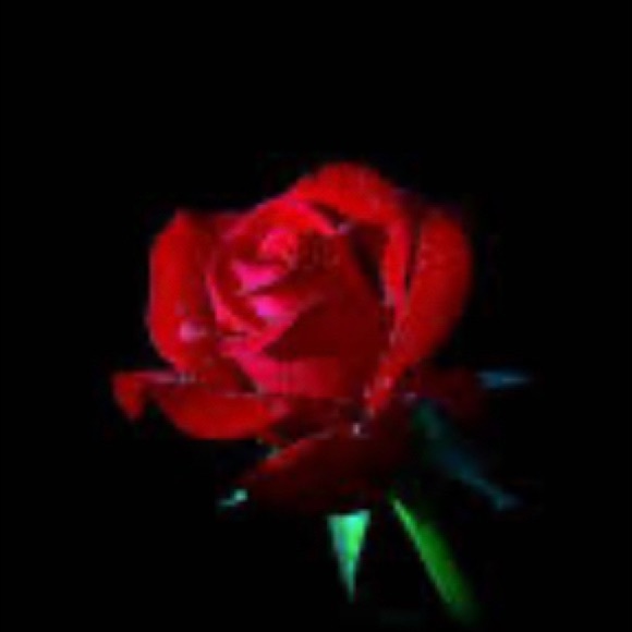 Meet your Posher, Victoria - Picture 1 of 1